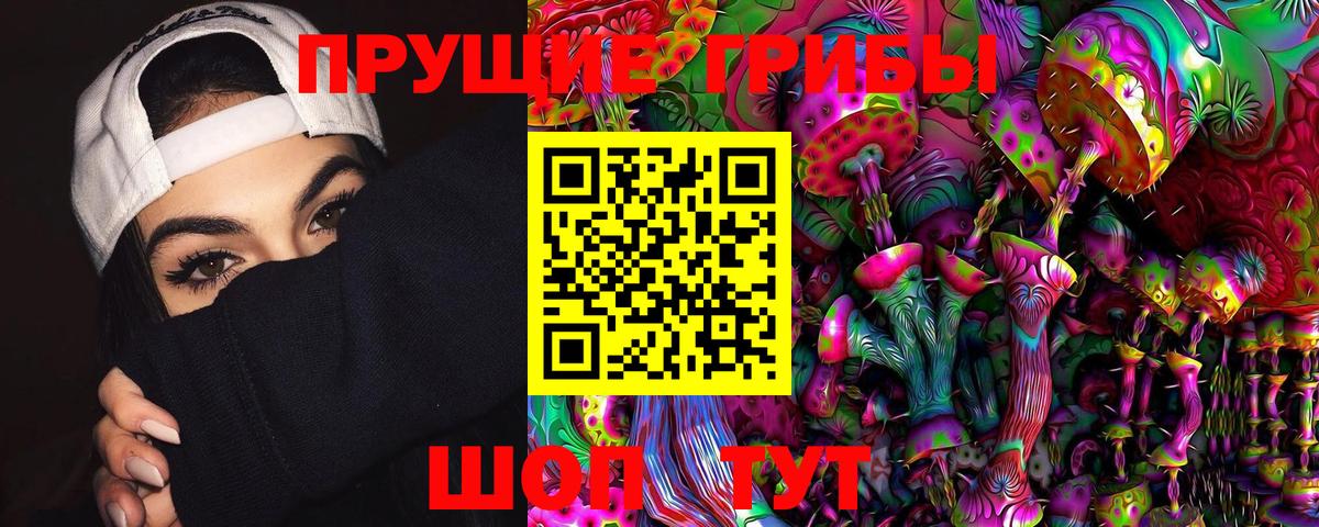 Псилоцибиновые грибы мицелий  Вход с VPN  Жигулёвск  Галлюциногенные грибы GOLDEN TEACHER 