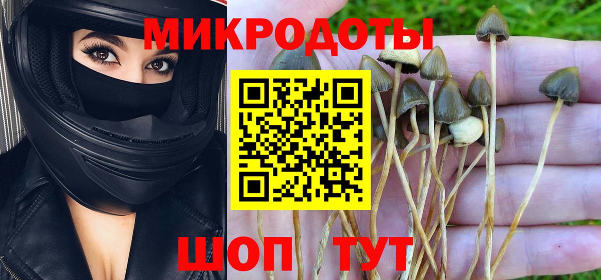 Псилоцибиновые грибы прущие грибы Жигулёвск